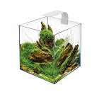 Aquarium